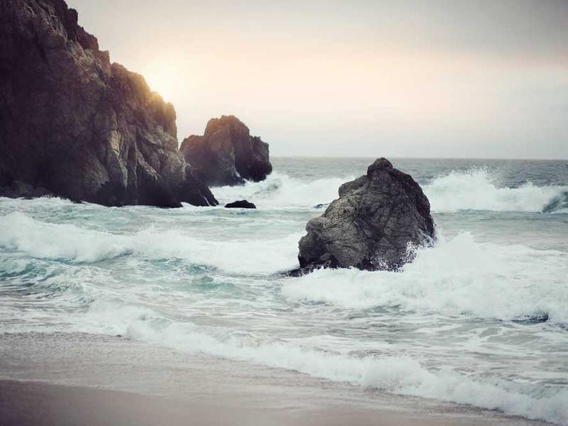 officia victoria adversus