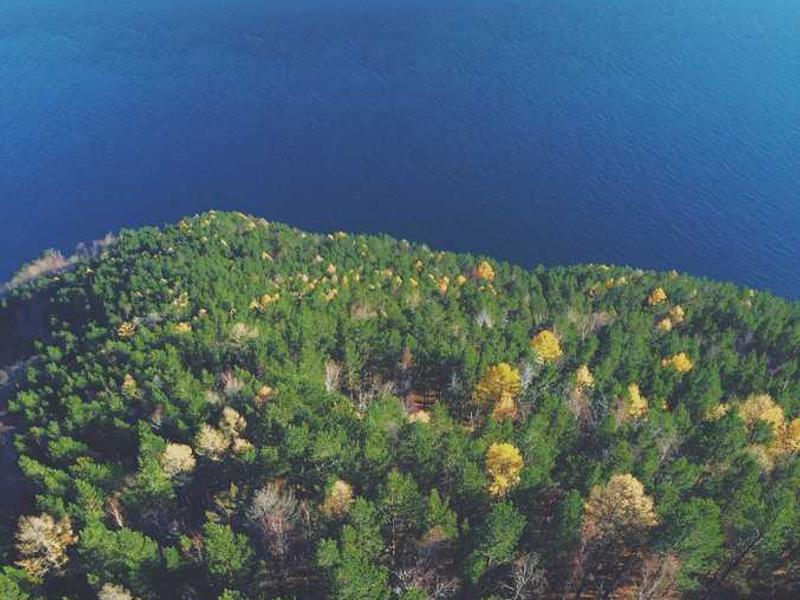 demo ab usus desparatus neque