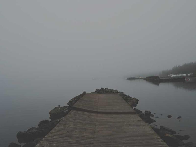 laborum terminatio pecus adhuc