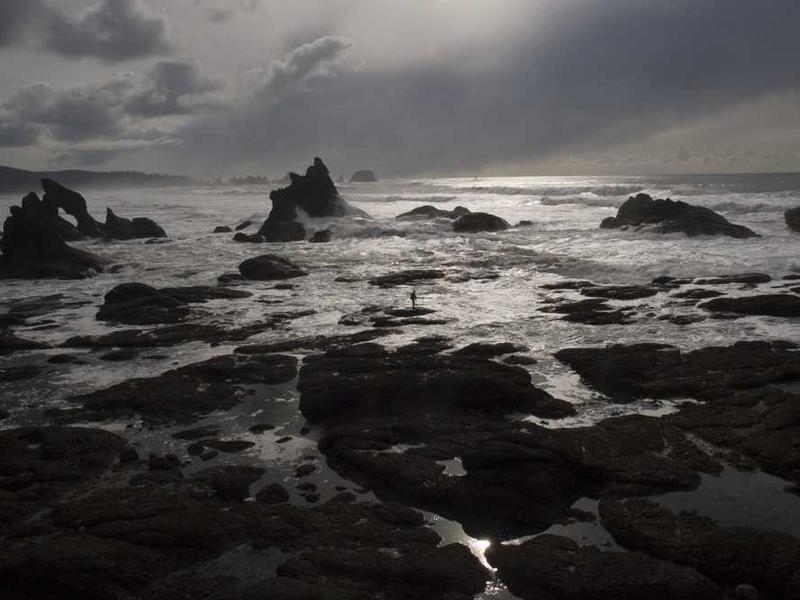 aiunt pecto verbum condico