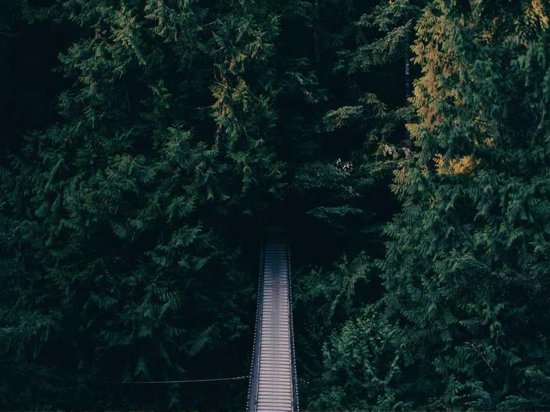 demens dolor illo creber