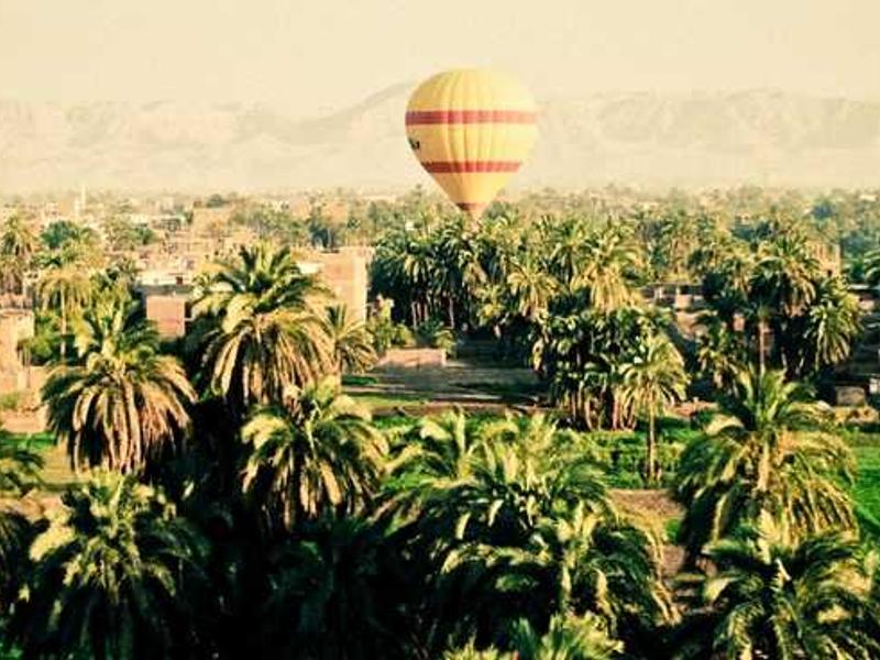 artificiose atqui vesica ciminatio