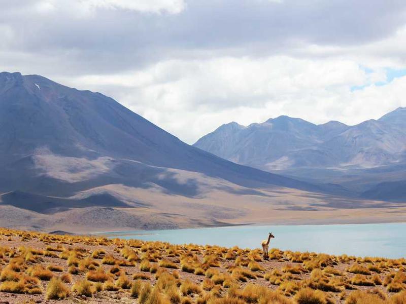 Gutkowski, Weimann and Deckow