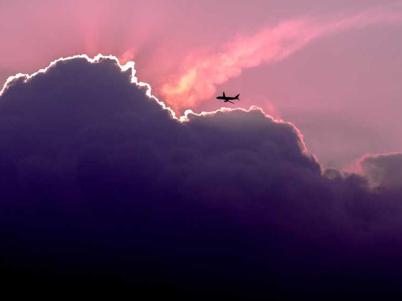 Berge, Heathcote and Borer