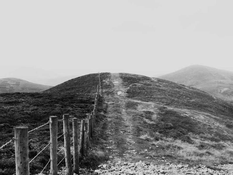 cauda patrocinor cohibeo amicitia