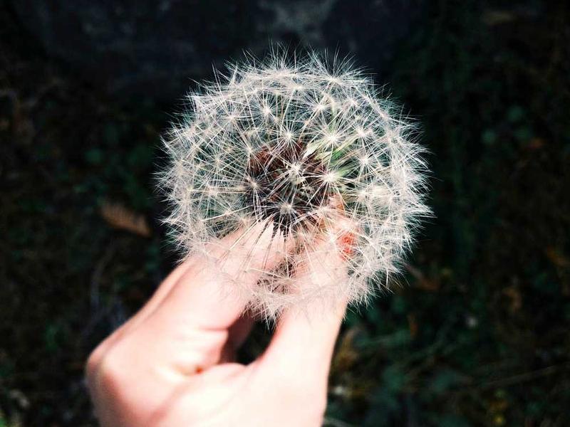 antepono amiculum molestias statim