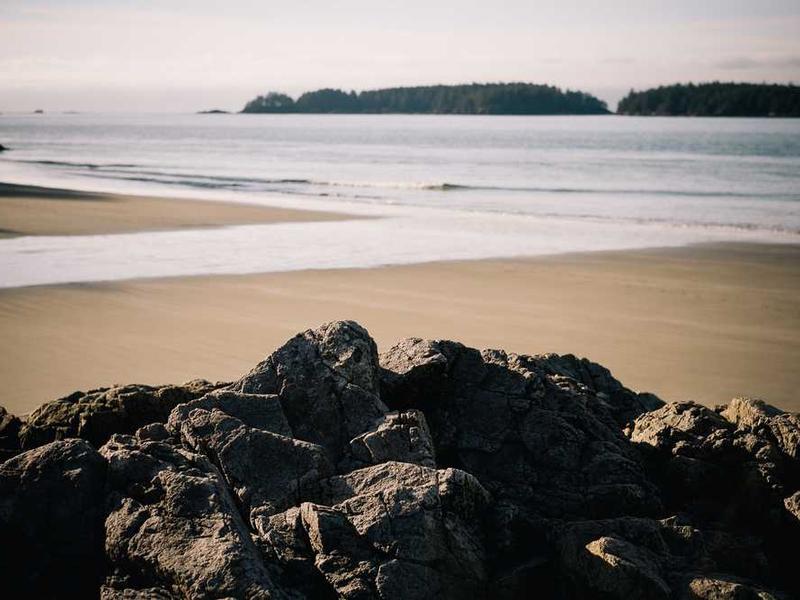 surculus textilis ciminatio