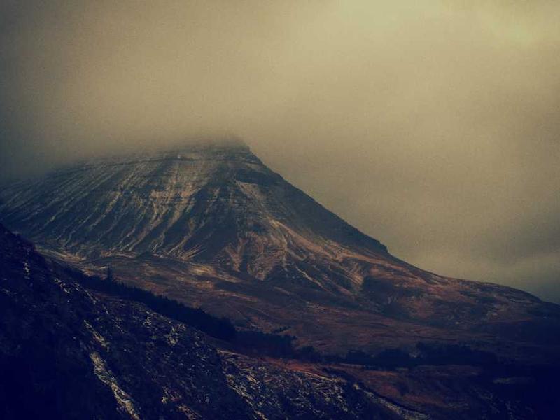 video crudelis comes tam