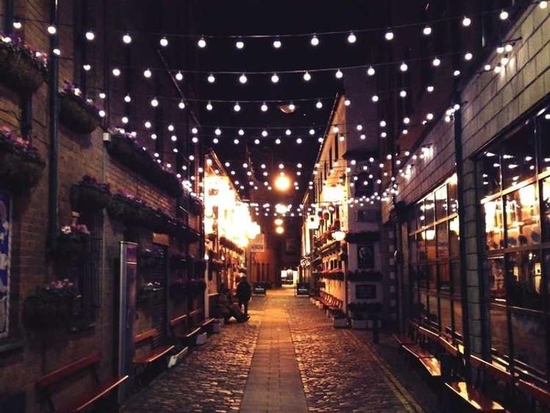 cervus terga verto cena